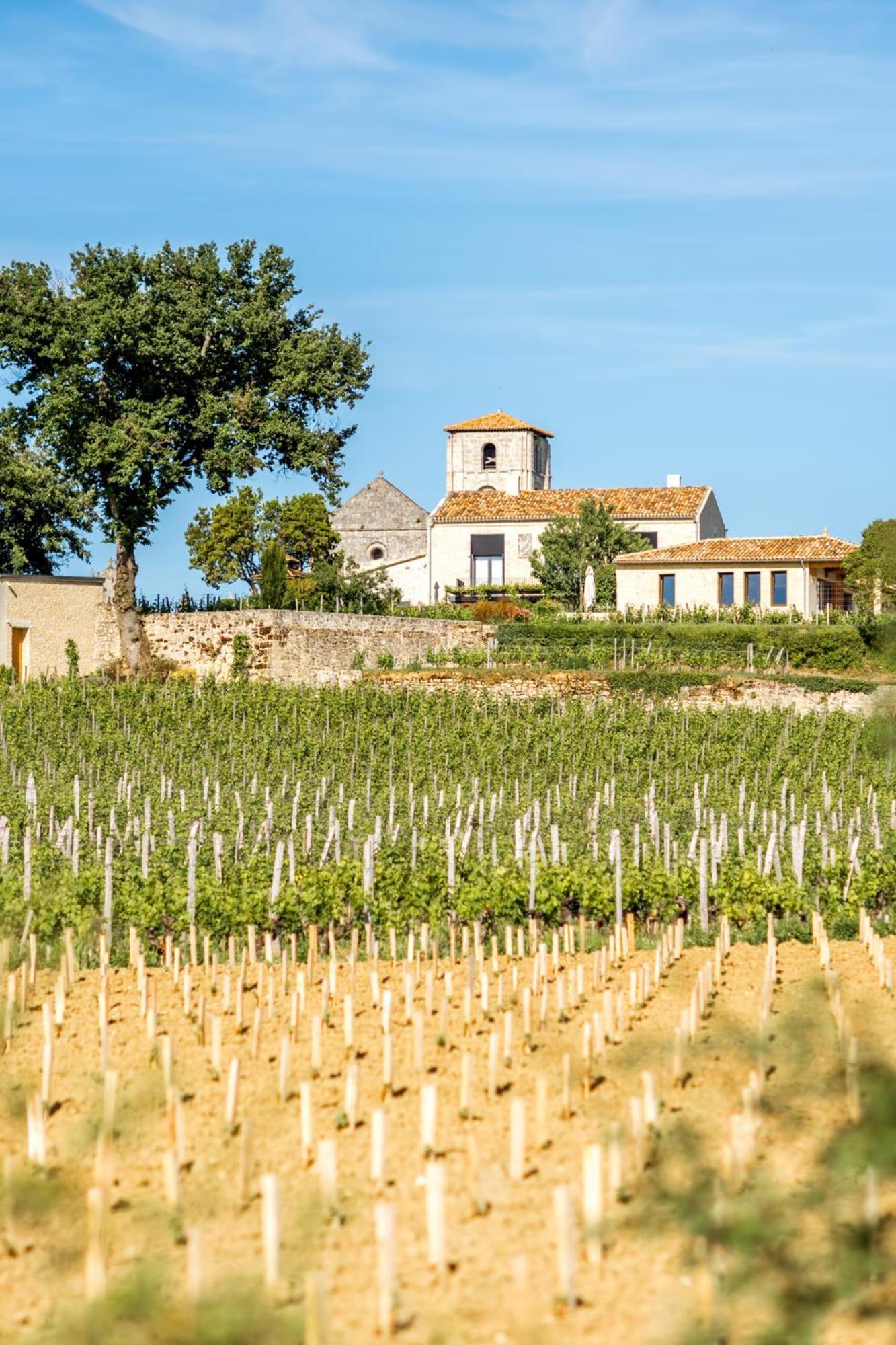 Maison Charmeilles - Gite Touristique - Coliving Fronsac  Esterno foto