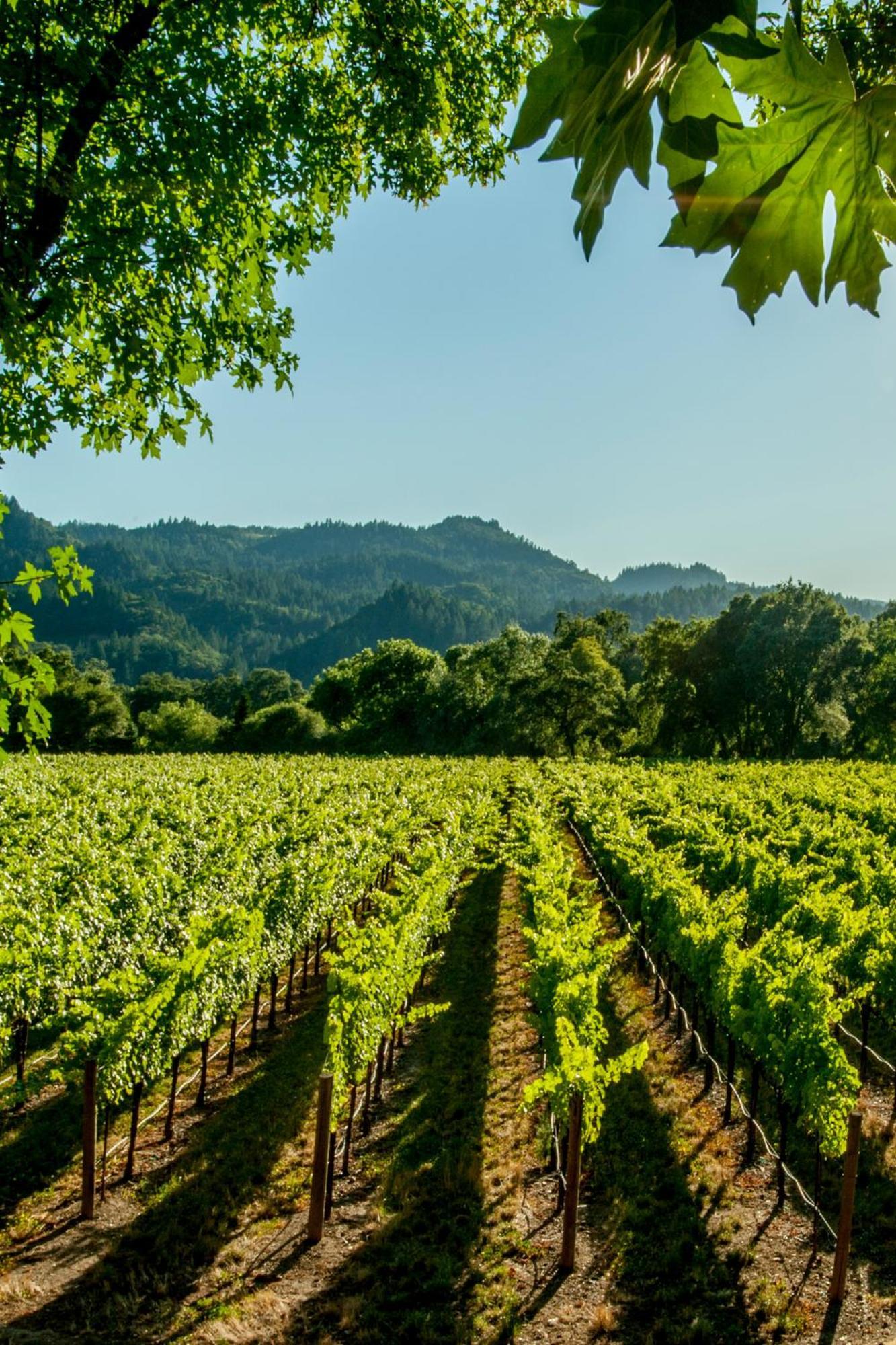 Maison Charmeilles - Gite Touristique - Coliving Fronsac  Esterno foto