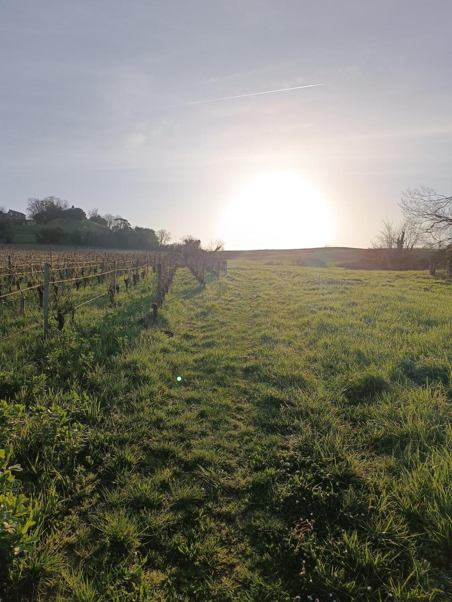 Maison Charmeilles - Gite Touristique - Coliving Fronsac  Esterno foto