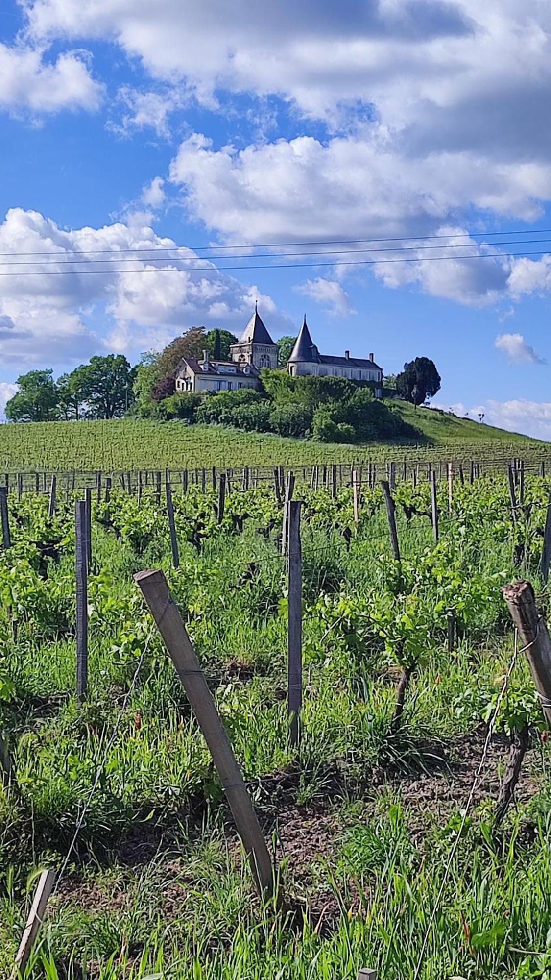 Maison Charmeilles - Gite Touristique - Coliving Fronsac  Esterno foto