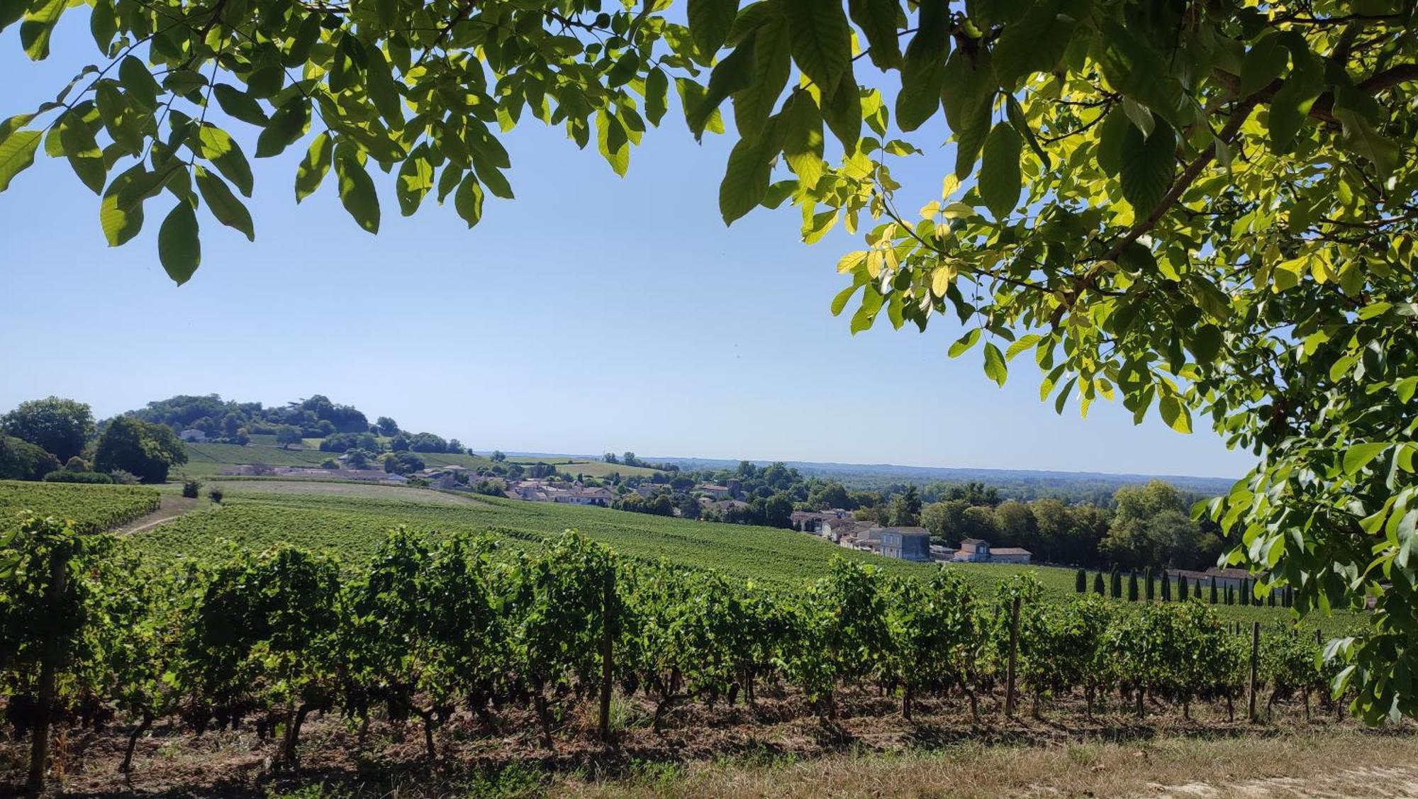 Maison Charmeilles - Gite Touristique - Coliving Fronsac  Esterno foto