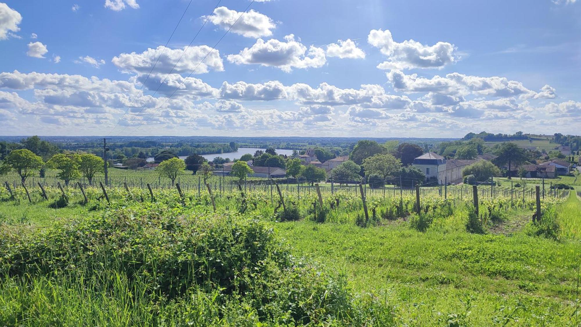 Maison Charmeilles - Gite Touristique - Coliving Fronsac  Esterno foto