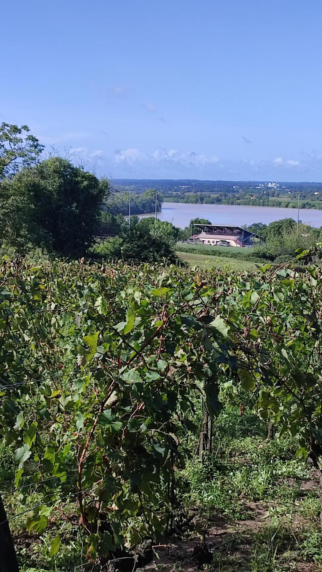 Maison Charmeilles - Gite Touristique - Coliving Fronsac  Esterno foto