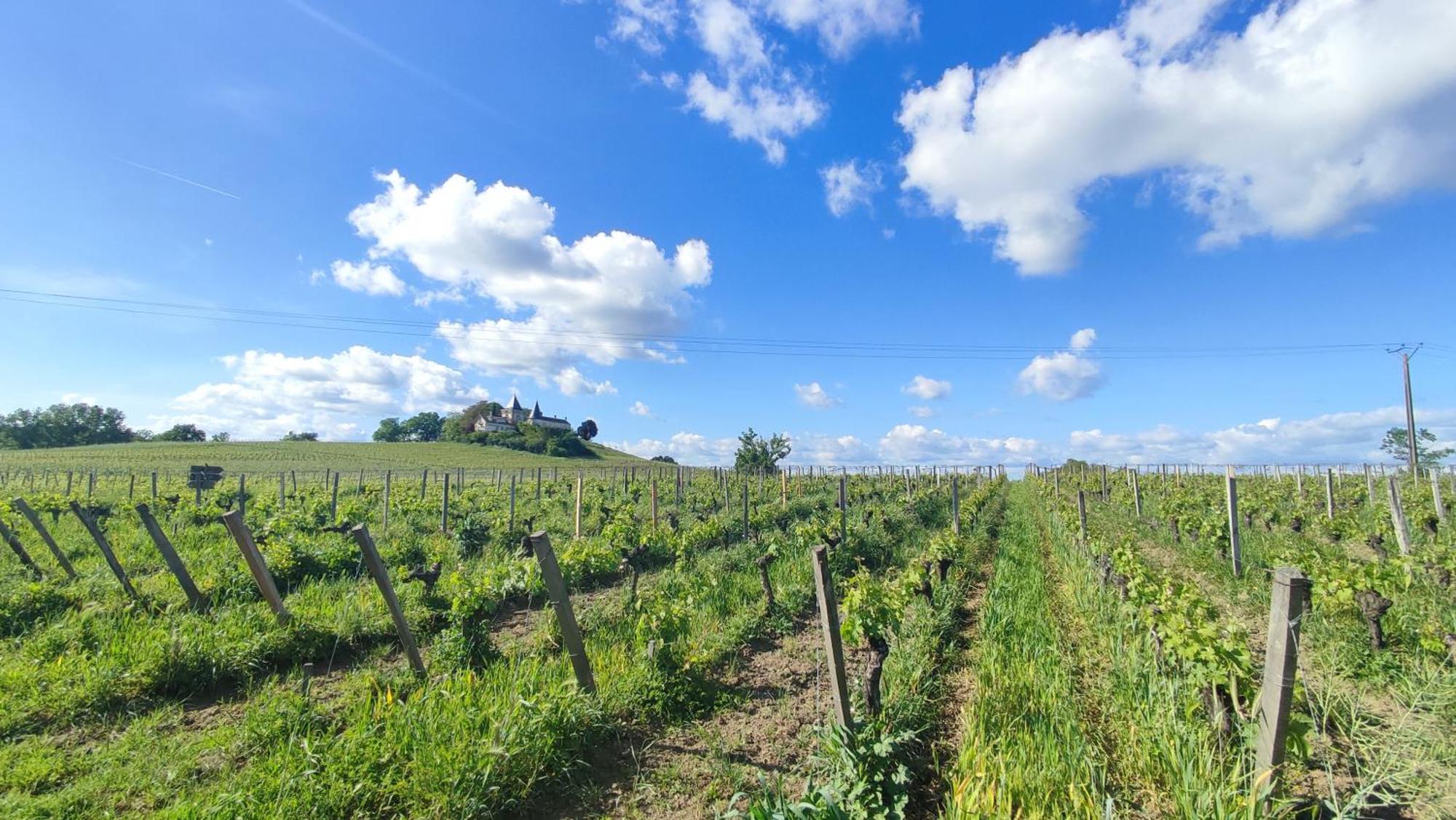 Maison Charmeilles - Gite Touristique - Coliving Fronsac  Esterno foto